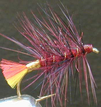 clan chief variant fly pattern