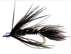 midnight blue fly pattern