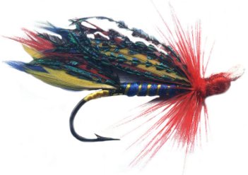 Saltwater  Saltwater flies, Fly fishing, Fly fishing flies pattern