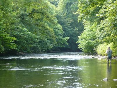 fly fishing on six mile water river